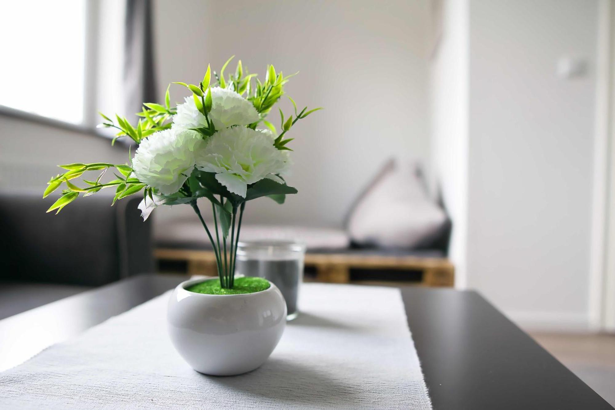 Heide Ferienwohnung Nord Schneverdingen Esterno foto